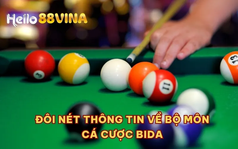 Đôi nét thông tin về bộ môn cá cược Bida