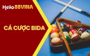 cá cược bida